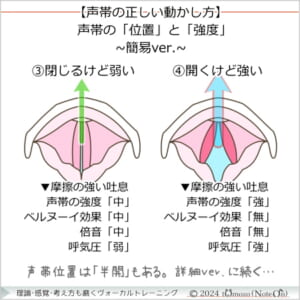 » 第36回：“弱く閉じる？ 強く開く？” 声門閉鎖の「位置と強度」で完全無欠なコントロールを！