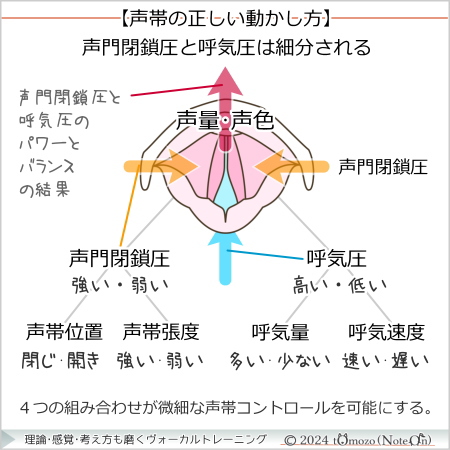 声門閉鎖圧と呼気圧の細分