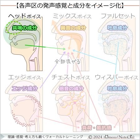 【声区ーヘッドボイス】