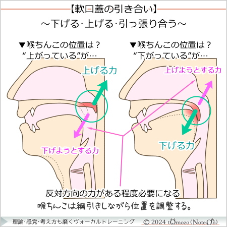 【軟口蓋の引き合い】