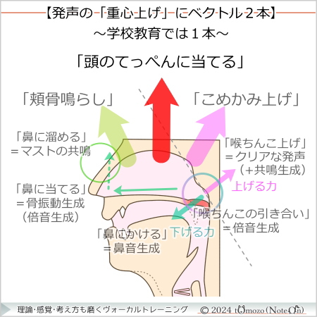 【頭のてっぺんに当てる】