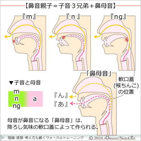 【鼻音親子=子音3兄弟+鼻母音】
