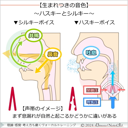 【ハスキーボイスとシルキーボイス】