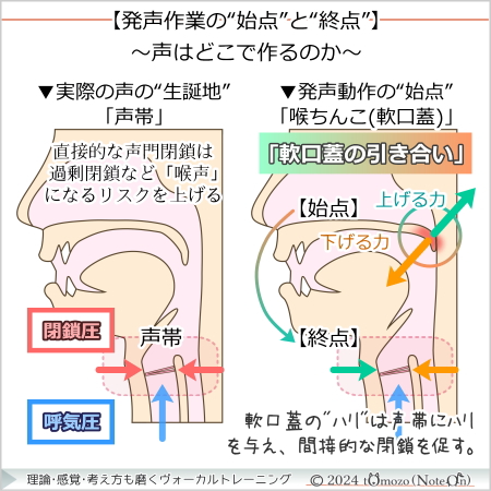 【軟口蓋の引き合い】